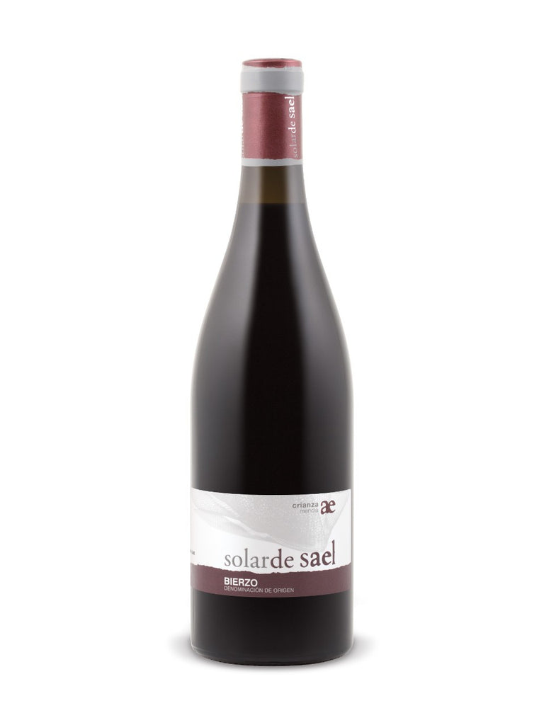 Solar de Sael Crianza Mencía 2007