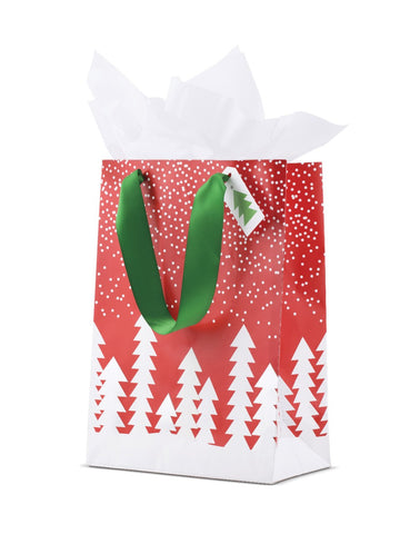 Holiday Shopping Bag
