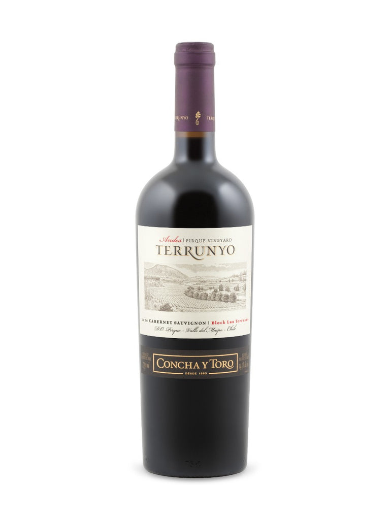 Concha y Toro Terrunyo Vineyard Selection Cabernet Sauvignon 2010